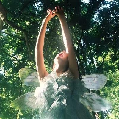 鉴宝这事,我开挂了