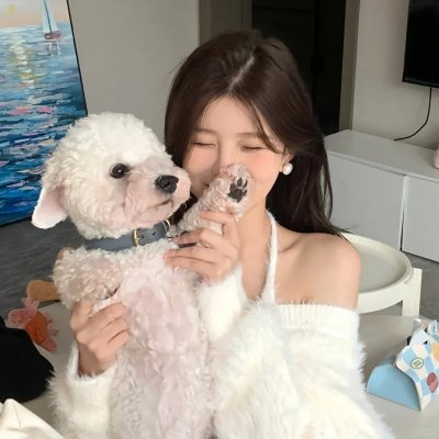 史普林斯汀:走出虚无